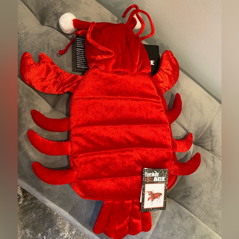 NWT Lobster Pet Costume